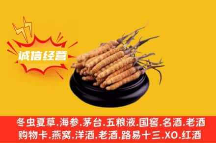 鹰手营子矿区回收冬虫夏草